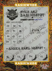 Syair sdy 11 Juni 2025 