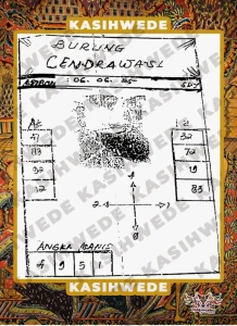 Syair SDY 6 Juni 2025